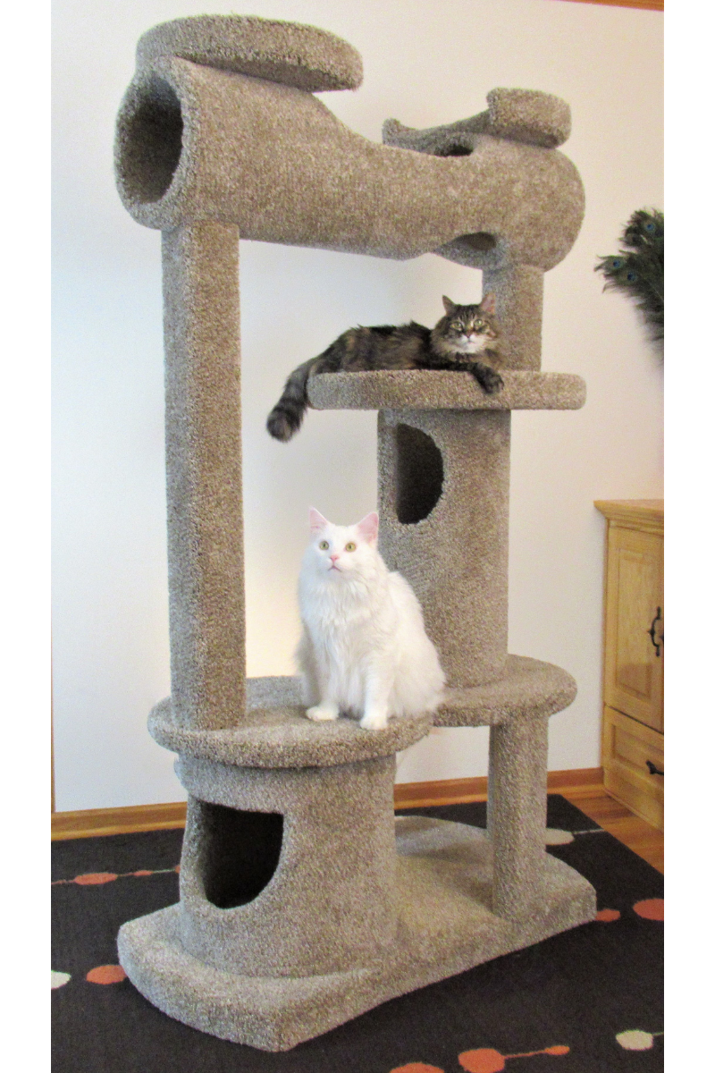 Cat tree with hot sale stairs